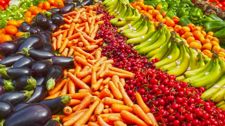 Et pourquoi pas une Sécurité sociale de l’alimentation ?