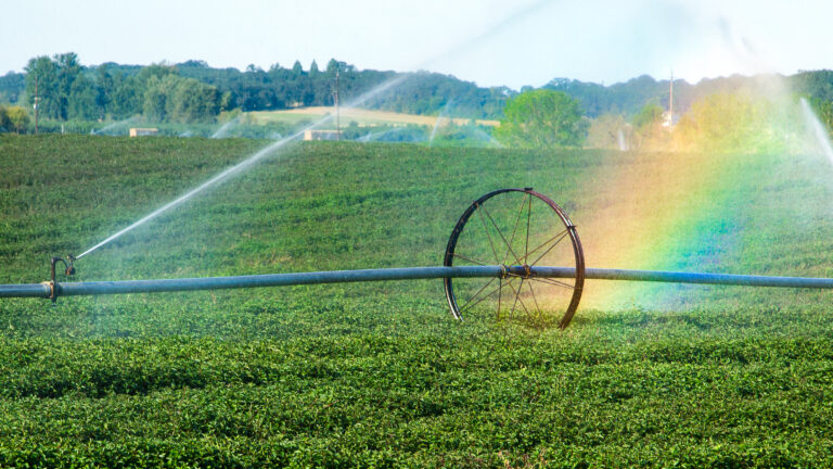 Agriculture : une autre gestion de l’eau est possible