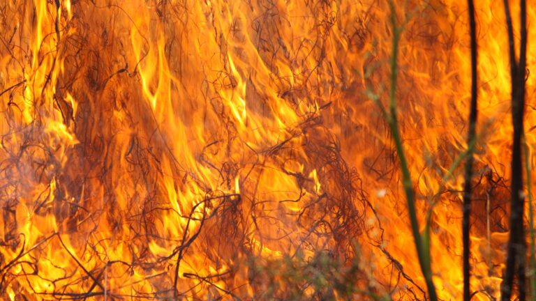 Drame dans l’Aude : l’incendie qui révèle nos failles face au changement climatique