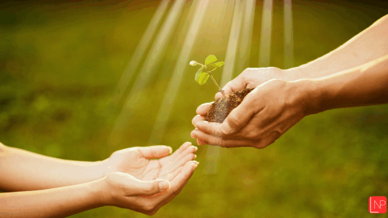 Se nourrir sainement sans détruire la planète ? Oui, c’est possible