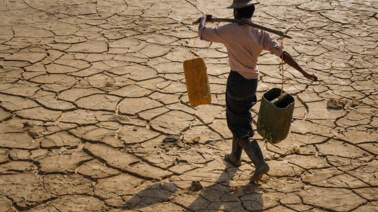 Eau : l’ONU acte la faillite hydrique de la planète