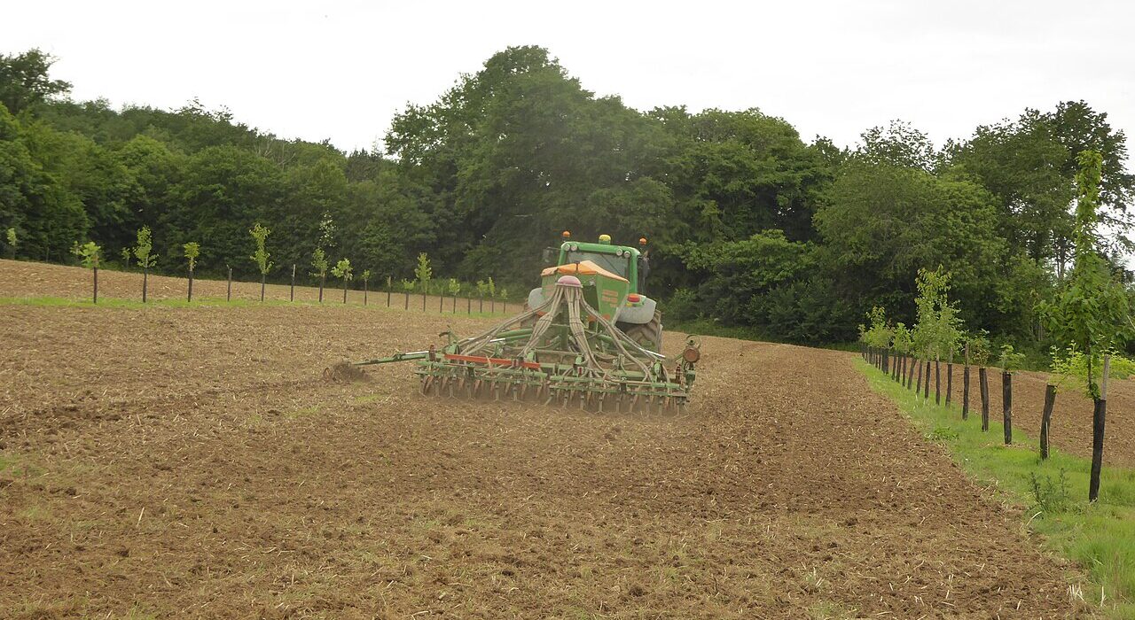 Agroforesterie intra-parcellaire dans la Sarthe : Cette technique améliore la fertilité des sols via l'apport de matière organique des feuilles et racines, réduit le lessivage des nitrates et l'érosion, tout en favorisant la biodiversité par des habitats diversifiés et la présence d'auxiliaires contre les ravageurs.