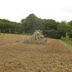 Agroforesterie intra-parcellaire dans la Sarthe : Cette technique améliore la fertilité des sols via l'apport de matière organique des feuilles et racines, réduit le lessivage des nitrates et l'érosion, tout en favorisant la biodiversité par des habitats diversifiés et la présence d'auxiliaires contre les ravageurs.