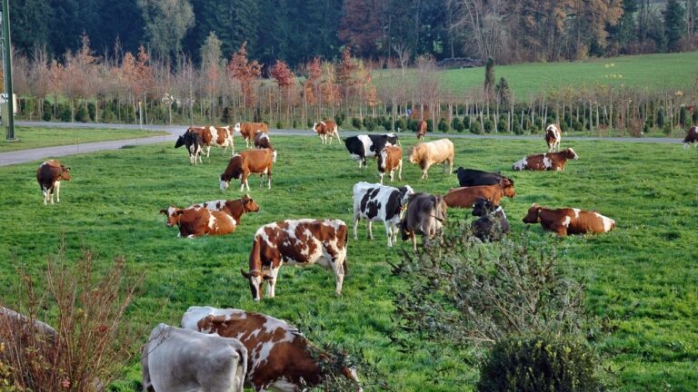 Il faut reconstruire les chaînons manquants de l’agriculture
