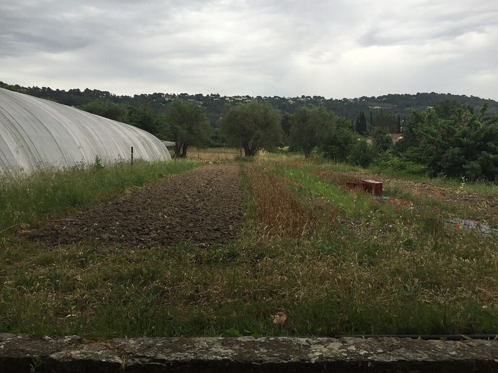 Vue de la régie agricole de Mouans-Sartoux