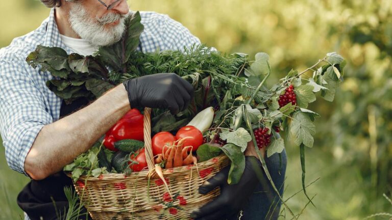 Ces propositions qui pourraient révolutionner l’agriculture
