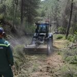 Des agents de l'ONF en train d'entretenir une piste dans la forêt.