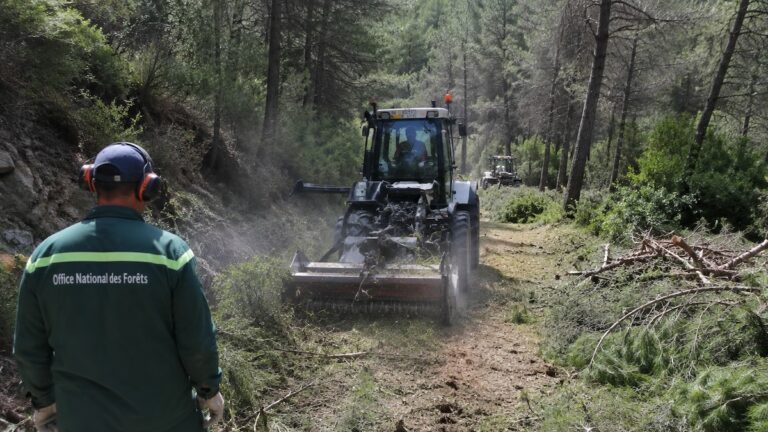 Incendies : quand l’extrême droite transforme les écologistes en coupables