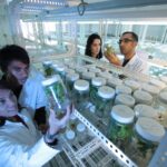 Chercheurs vérifiant des tests dans des bocaux.