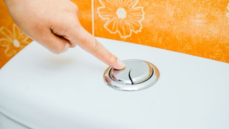 En 2026, est-il encore raisonnable de mettre de l’eau potable dans nos toilettes ?