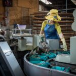 Usine de soie.