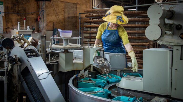 54 milliards à trouver, mais pas touche à l’héritage « économique » des ultra-riches